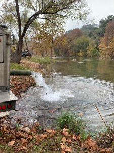 trout stocking