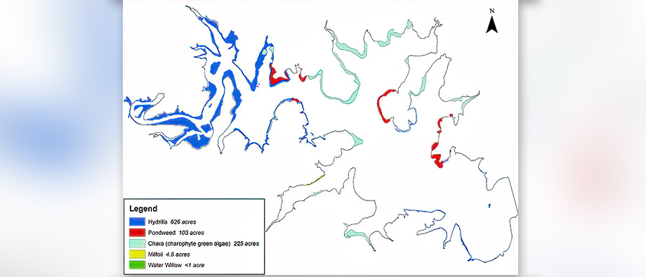 canyon reservoir map