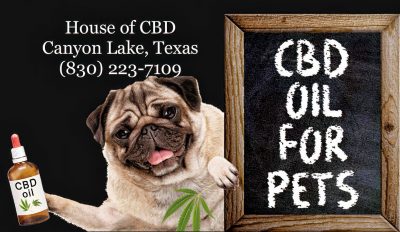 CBD for pets