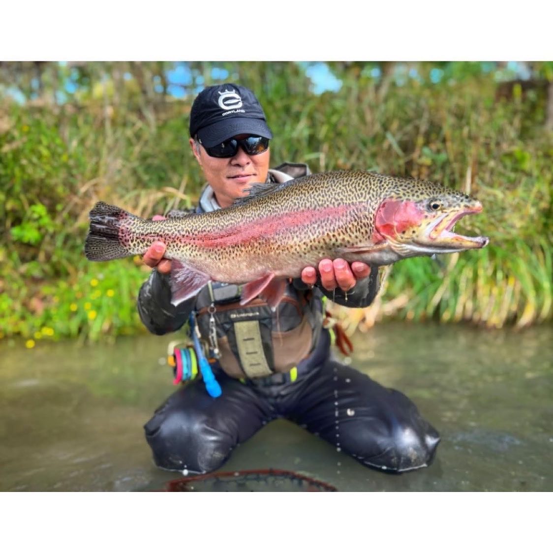 rainbow trout fisherman
