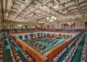 texas senate