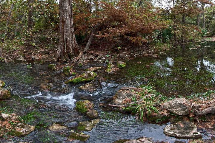 honey creek