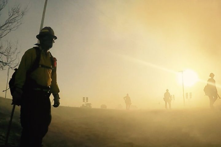 firefighters