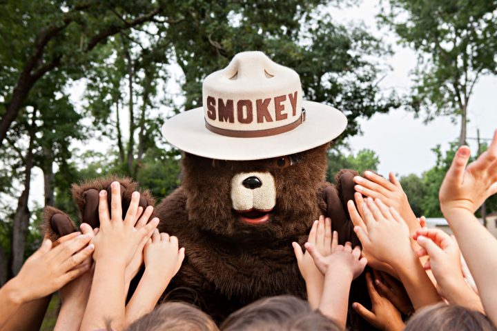 smokey bear