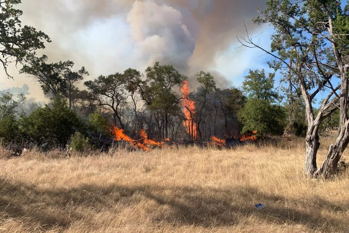 wildfire