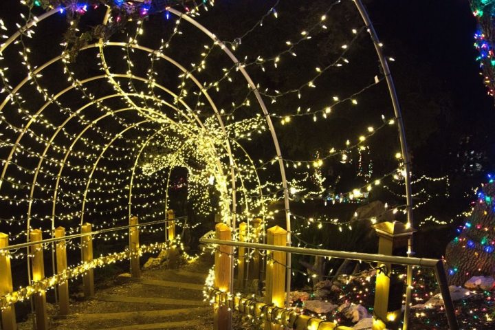 trail of lights