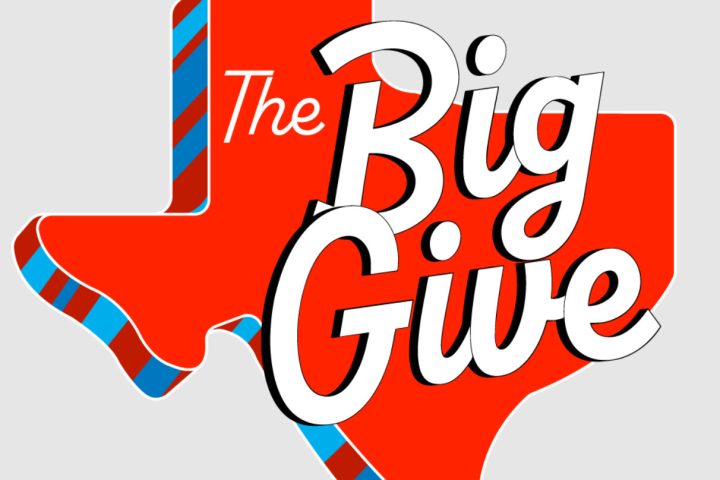 big give logo