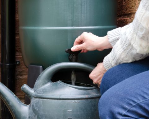 Rain barrel