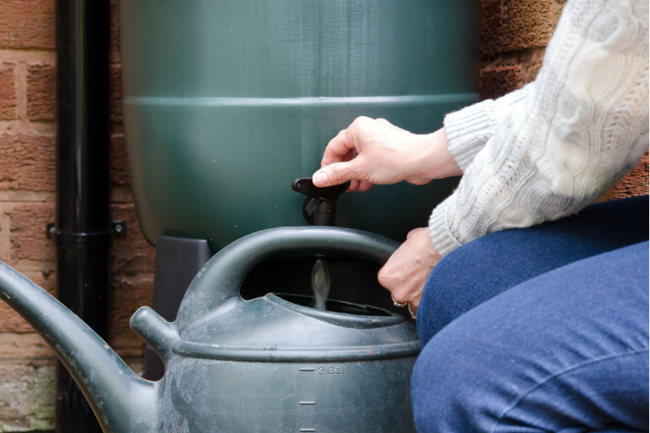 Rain barrel