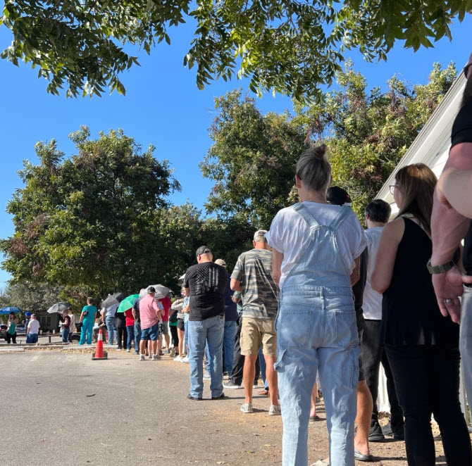 line for early voting