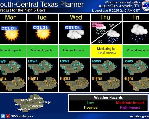 forecast