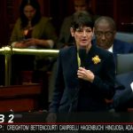 Dr. Donna Campbell on senate floor