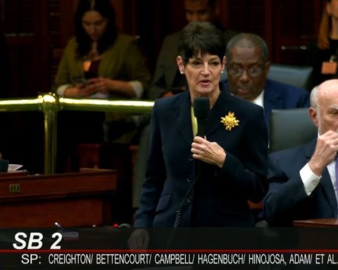 Dr. Donna Campbell on senate floor