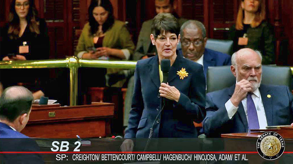 Dr. Donna Campbell on senate floor