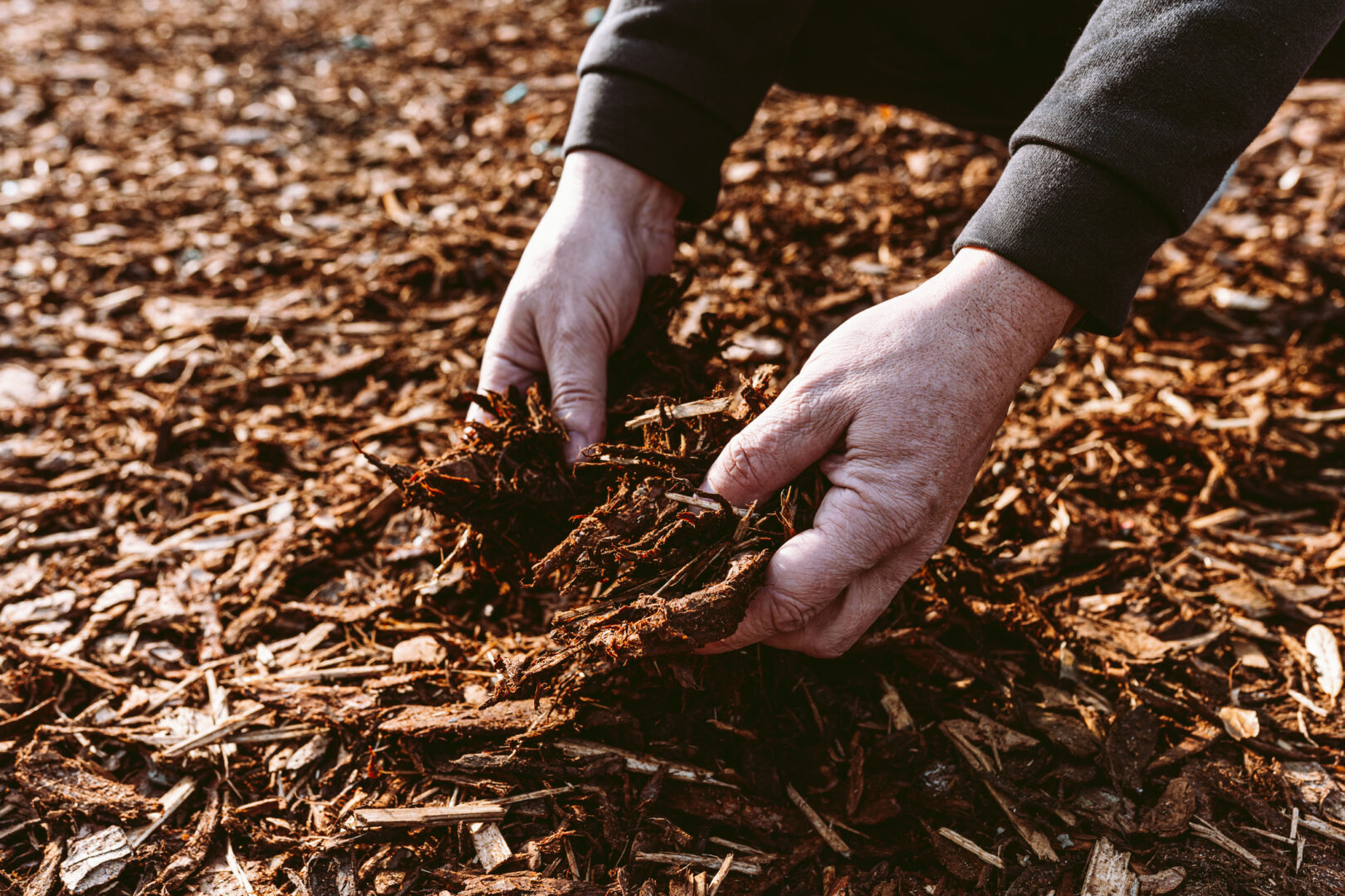 mulch