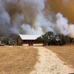 wildfire