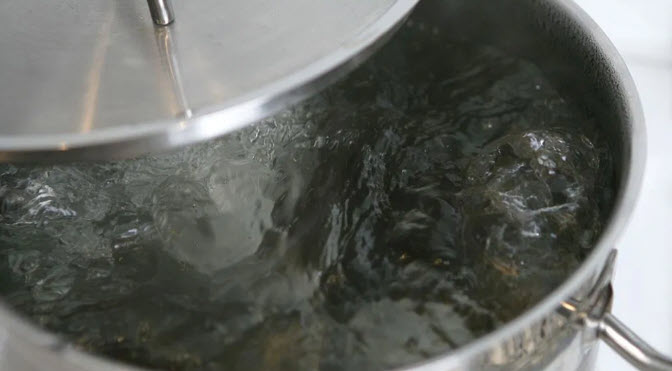 pot