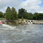 comal river